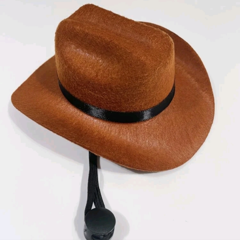 Cowboy hat for small pets